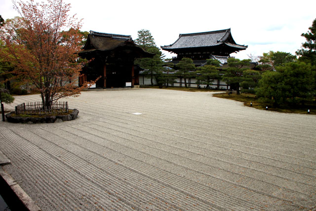 花は終盤 御室仁和寺_e0048413_18383679.jpg