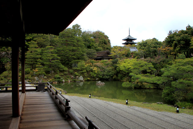 花は終盤 御室仁和寺_e0048413_18384899.jpg