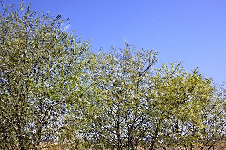 f0191413_10201341.jpg