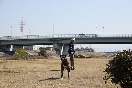 f0191413_1125786.jpg