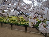 八ヶ岳ヒーリングツアー③_c0200917_175808.jpg