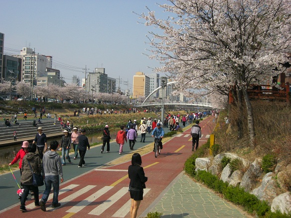 e0201021_25514.jpg