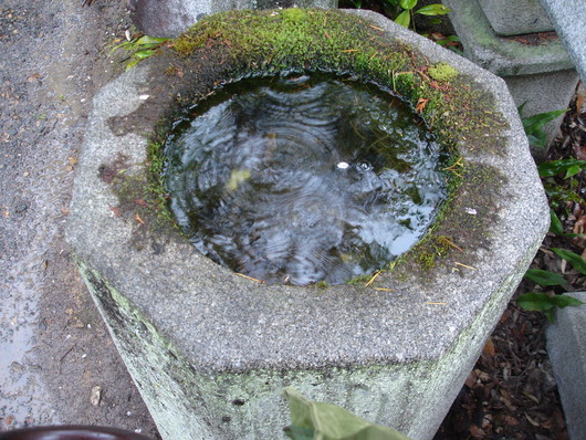 f0183722_13352748.jpg