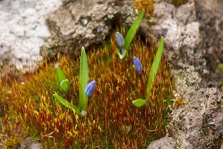 f0170524_14212183.jpg