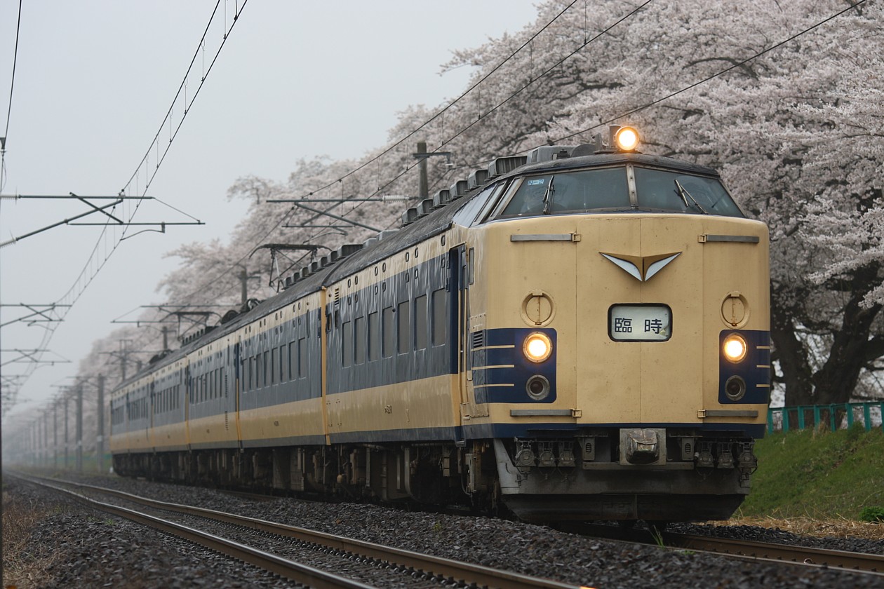 霧雨の桜街道を行く_b0085336_2064527.jpg