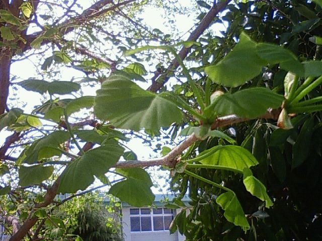 a0163738_140827.jpg