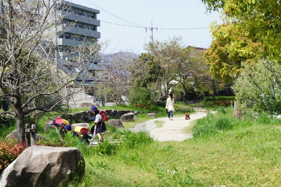 のどかな散歩道_b0008241_9284562.jpg