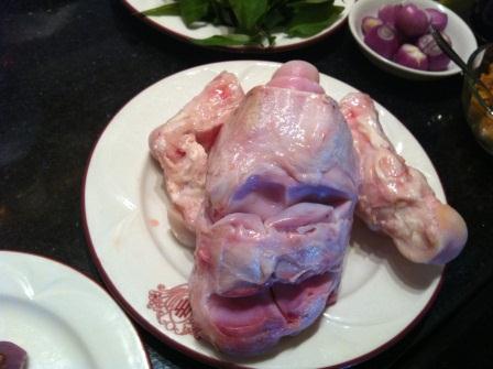 胎児スープ 写真 胎児スープ 写真