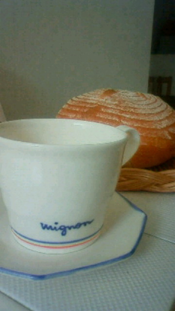 f0208355_92038.jpg