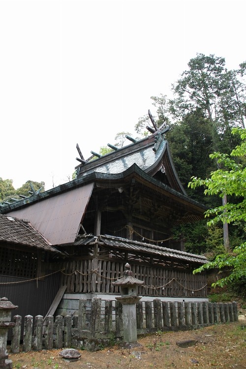 小山諏訪神社のクスノキ_b0123359_21275924.jpg