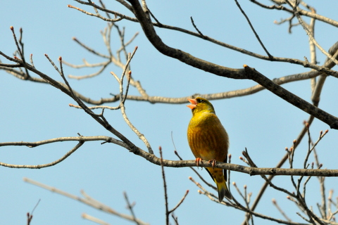 b0165760_21252370.jpg