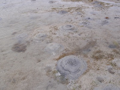 c0180460_16265131.jpg