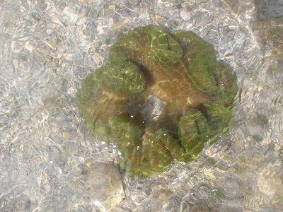 c0180460_16283350.jpg