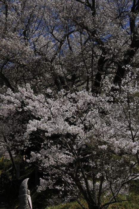 c0202860_7323246.jpg