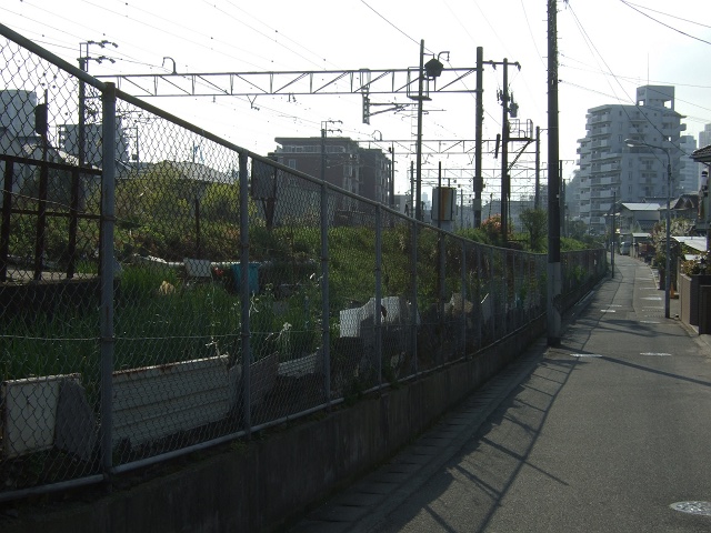 b0095061_1156176.jpg