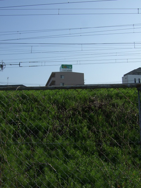b0095061_1157419.jpg