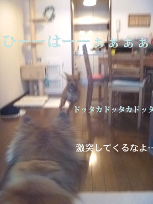 f0238772_12375815.jpg