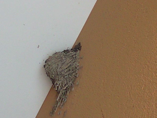 c0206084_13375114.jpg