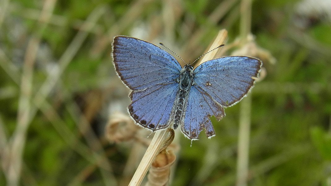 a0152692_18173335.jpg