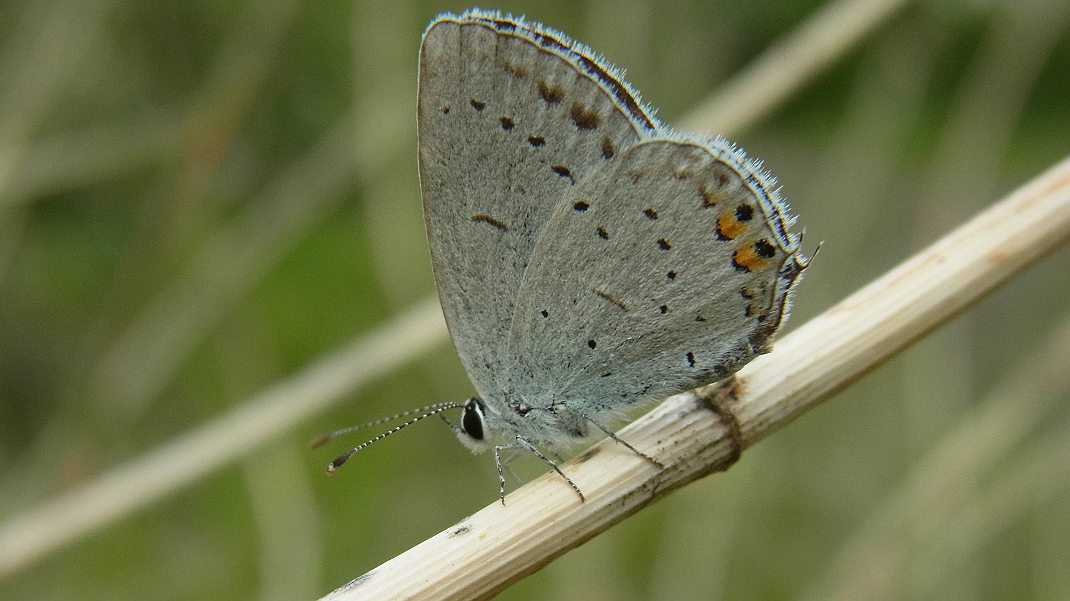 a0152692_18175636.jpg