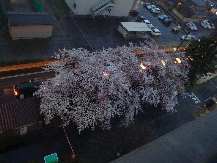 f0075595_0252839.jpg