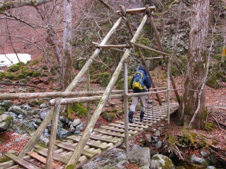 c0212298_17484877.jpg