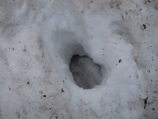 c0212298_17494082.jpg