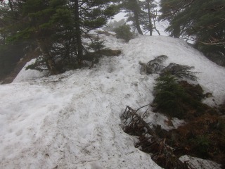 c0212298_17502793.jpg