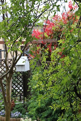 a0123003_1032491.jpg