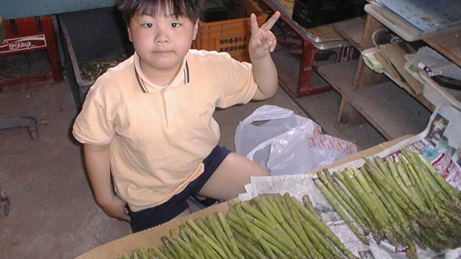 a0087804_223452.jpg