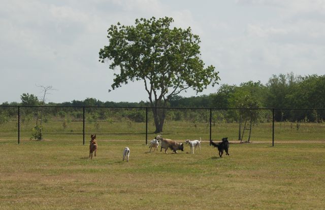 f0227709_9979.jpg