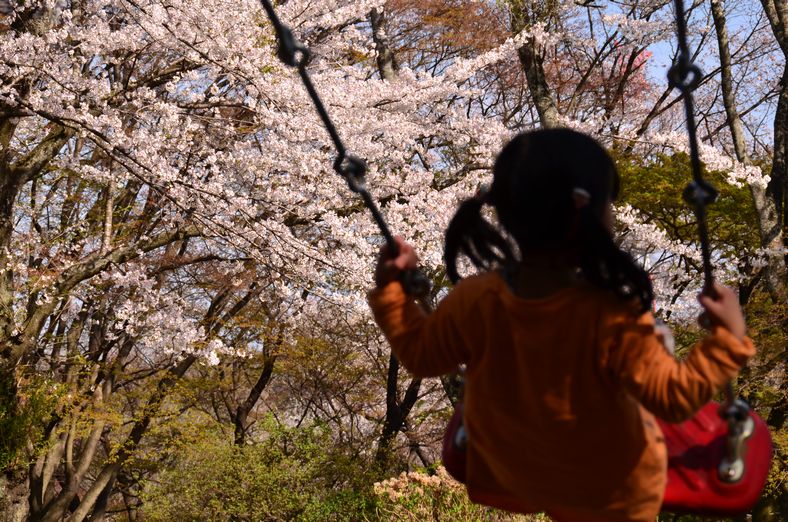 佐久山　桜景色_a0130512_19532453.jpg