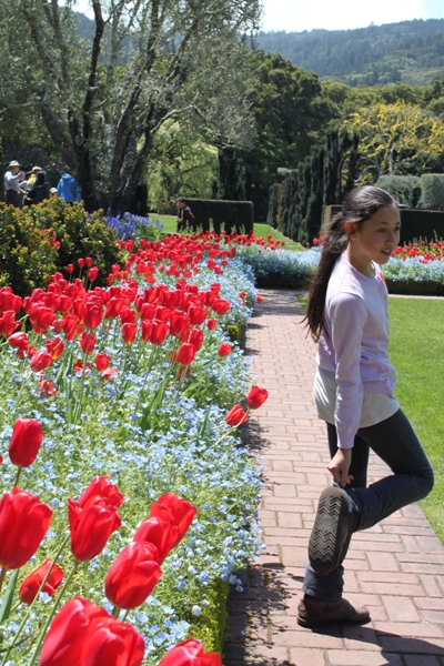 藤の花が満開－Ｆｉｌｏｌｉ　Ｇａｒｄｅｎ－_d0128712_1592639.jpg