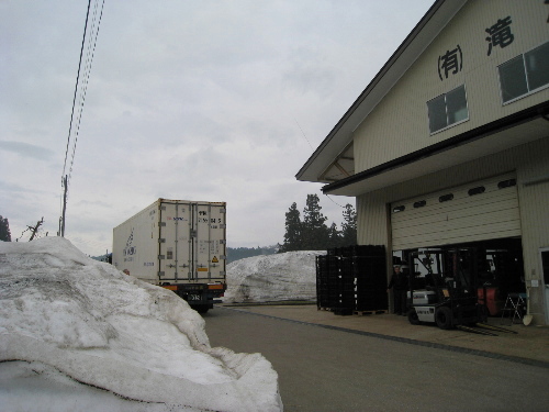 球根入荷日_f0067514_11514059.jpg