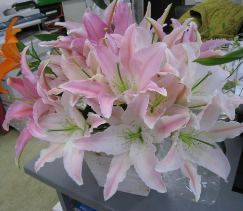 球根入荷日_f0067514_124470.jpg
