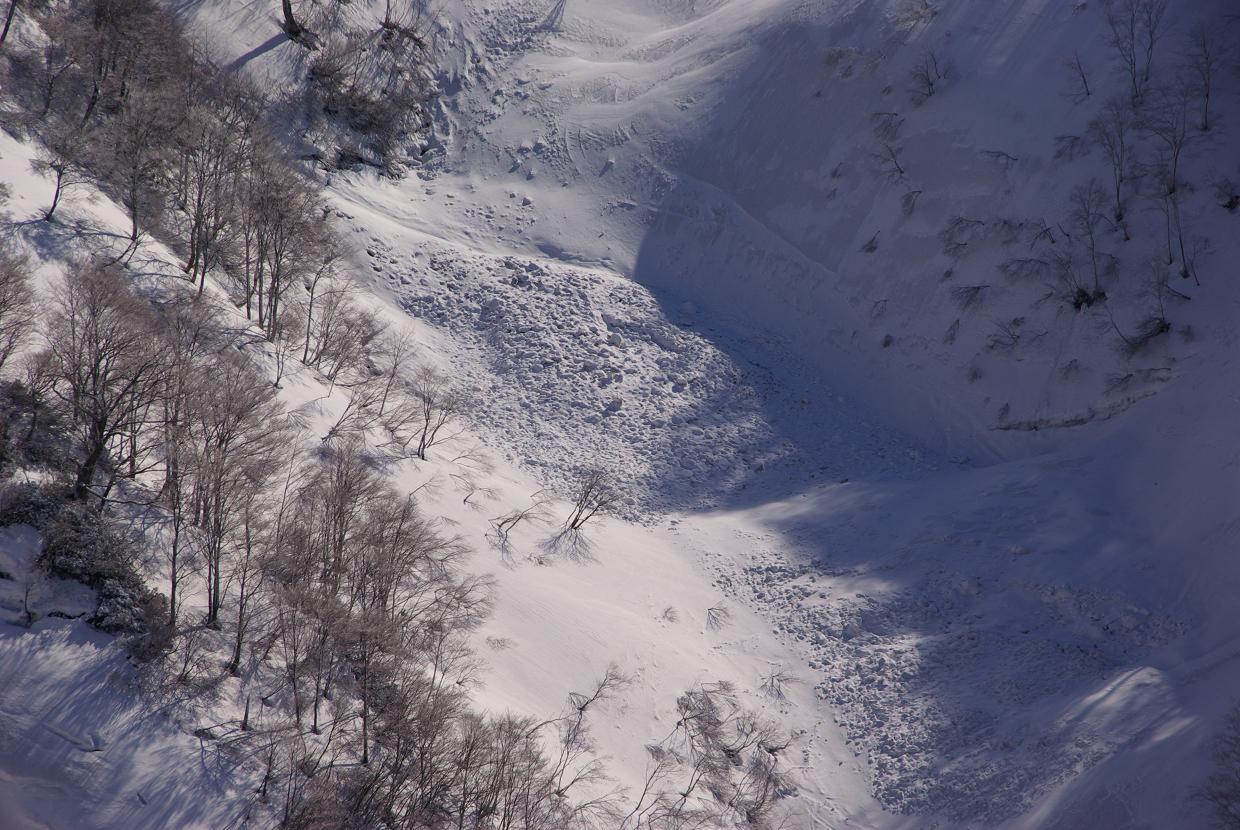 b0062024_812863.jpg