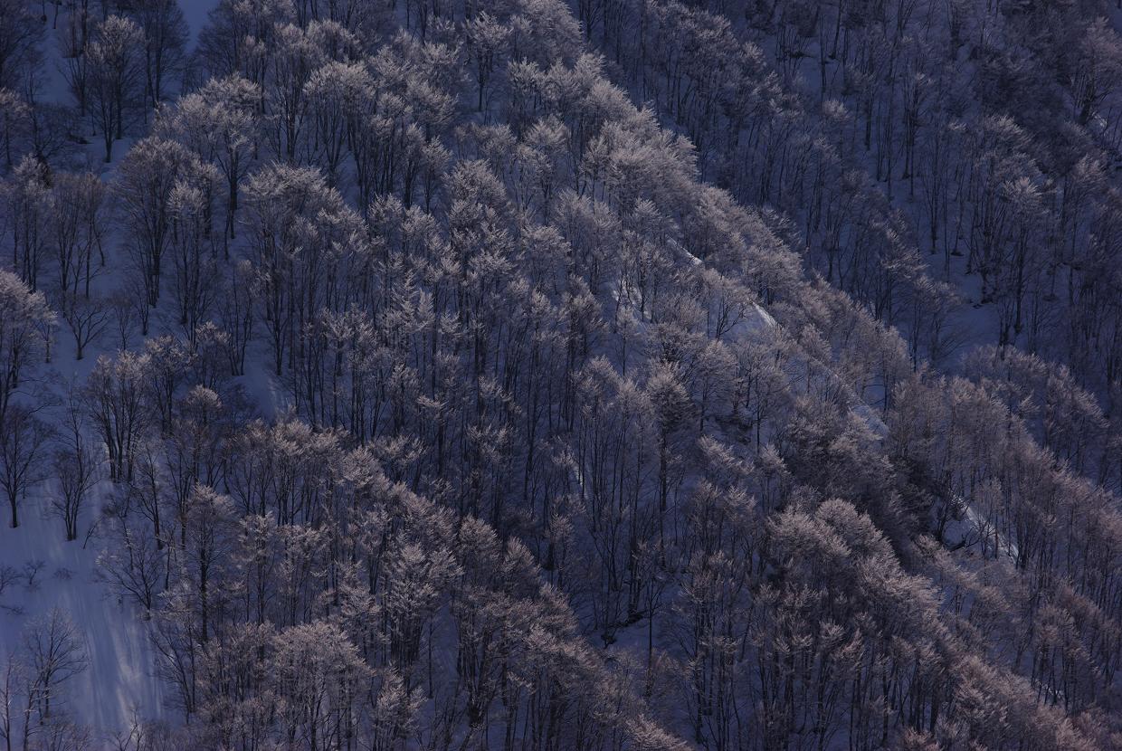 b0062024_8185711.jpg