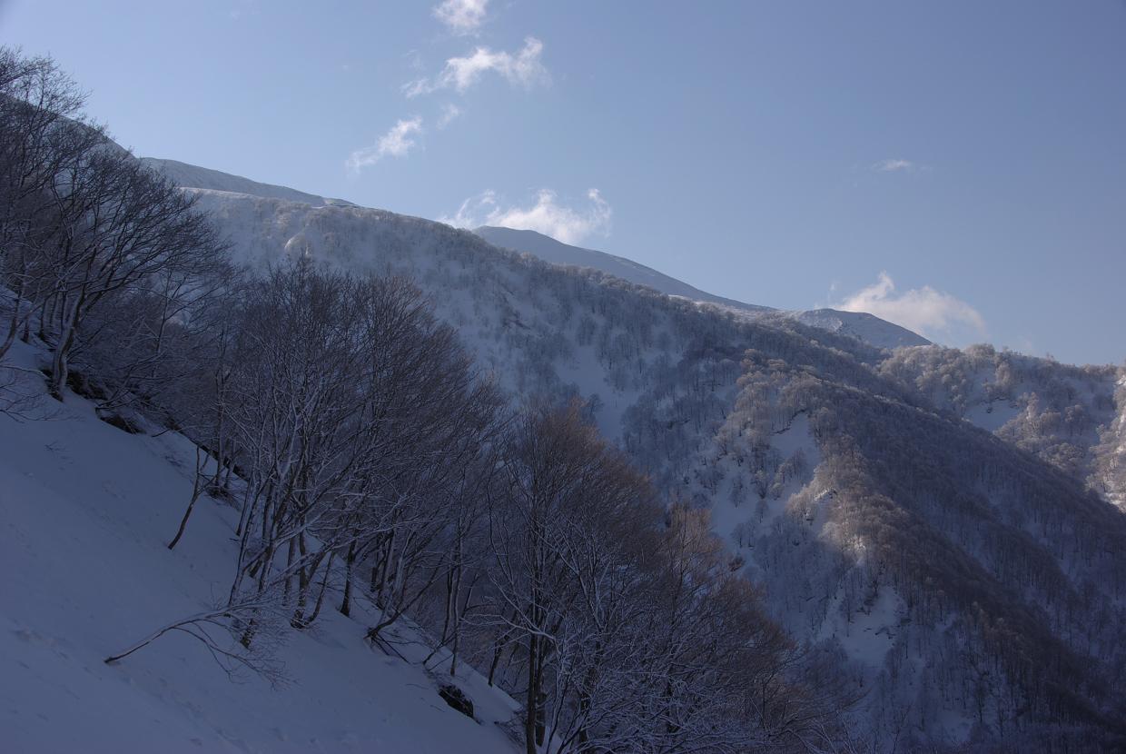 b0062024_8552.jpg
