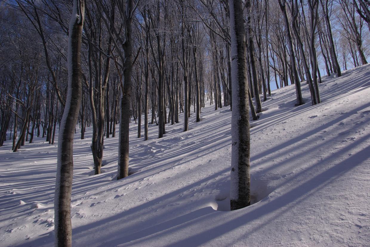 b0062024_86573.jpg
