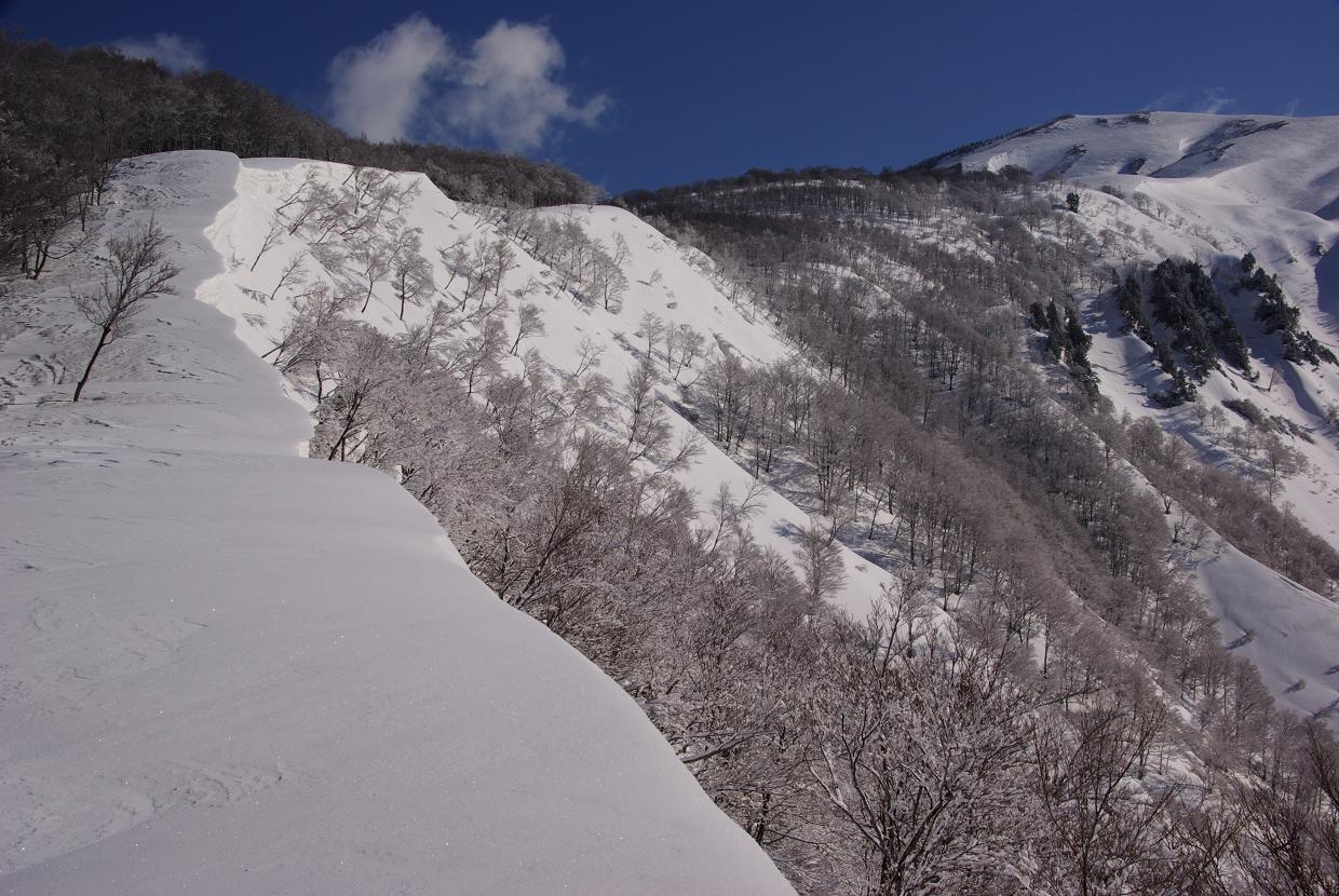 b0062024_87491.jpg