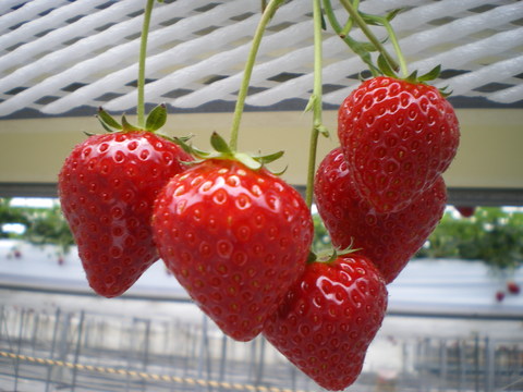 e0128024_22365632.jpg