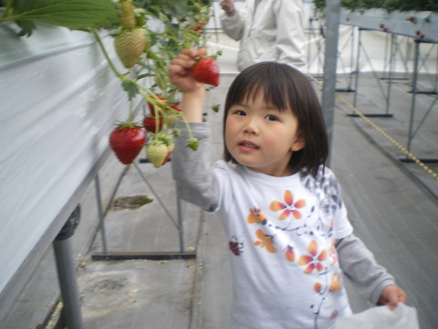 e0128024_22383972.jpg