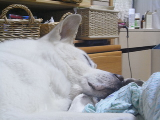 f0032125_2251567.jpg
