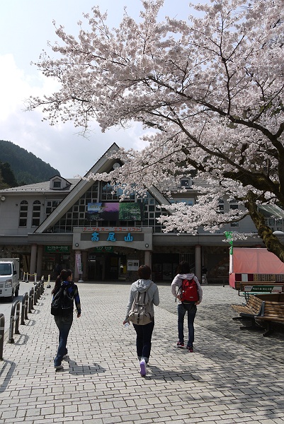 高尾山・日影沢スミレ探しの旅　その３_c0196928_0163794.jpg