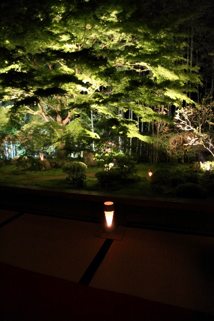 新緑の大原 －宝泉院　春の夜灯り（後編）－_b0169330_21274856.jpg