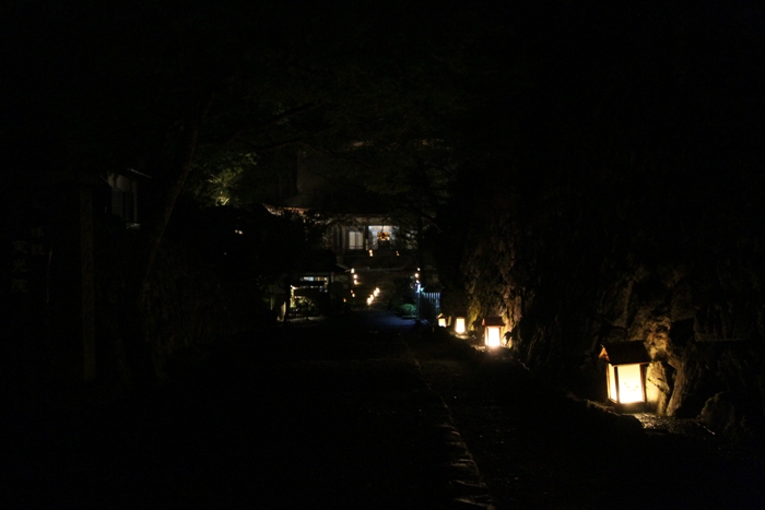 新緑の大原 －宝泉院　春の夜灯り（後編）－_b0169330_2129823.jpg