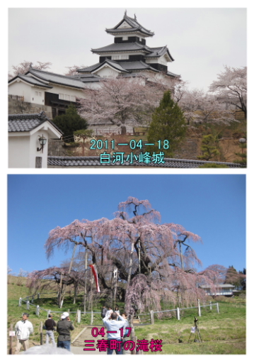 開花!_c0213830_1214229.jpg