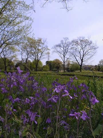 河川〇境楽園_c0077531_9601.jpg