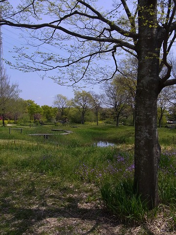 河川〇境楽園_c0077531_961019.jpg