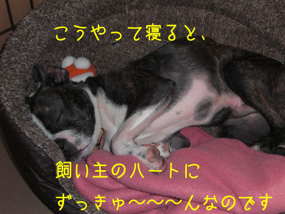 a0190132_01020100.jpg